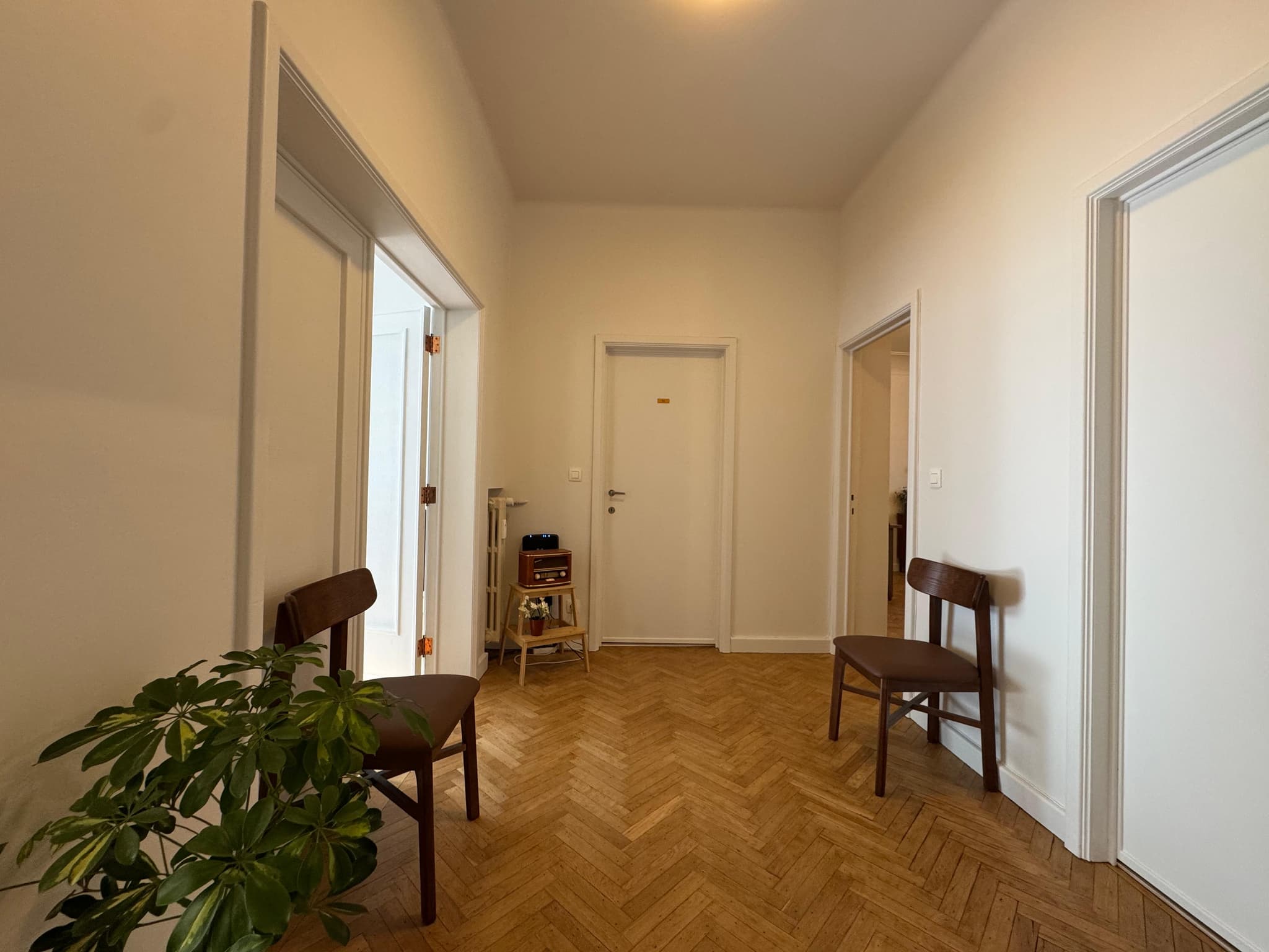 De wachtzaal van de praktijk, met stoelen, een kamerplant en visgraatparket